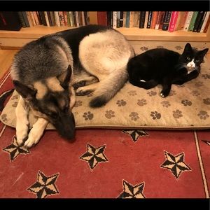 Meet your Posher, Meghan